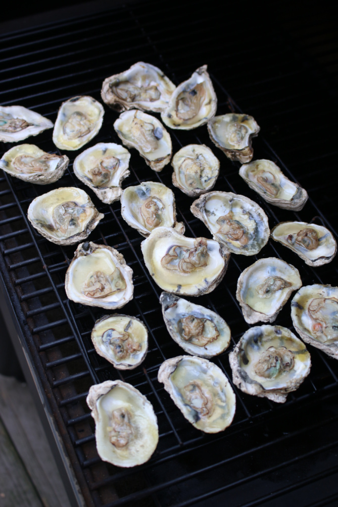 smoked oysters on Traeger smoker