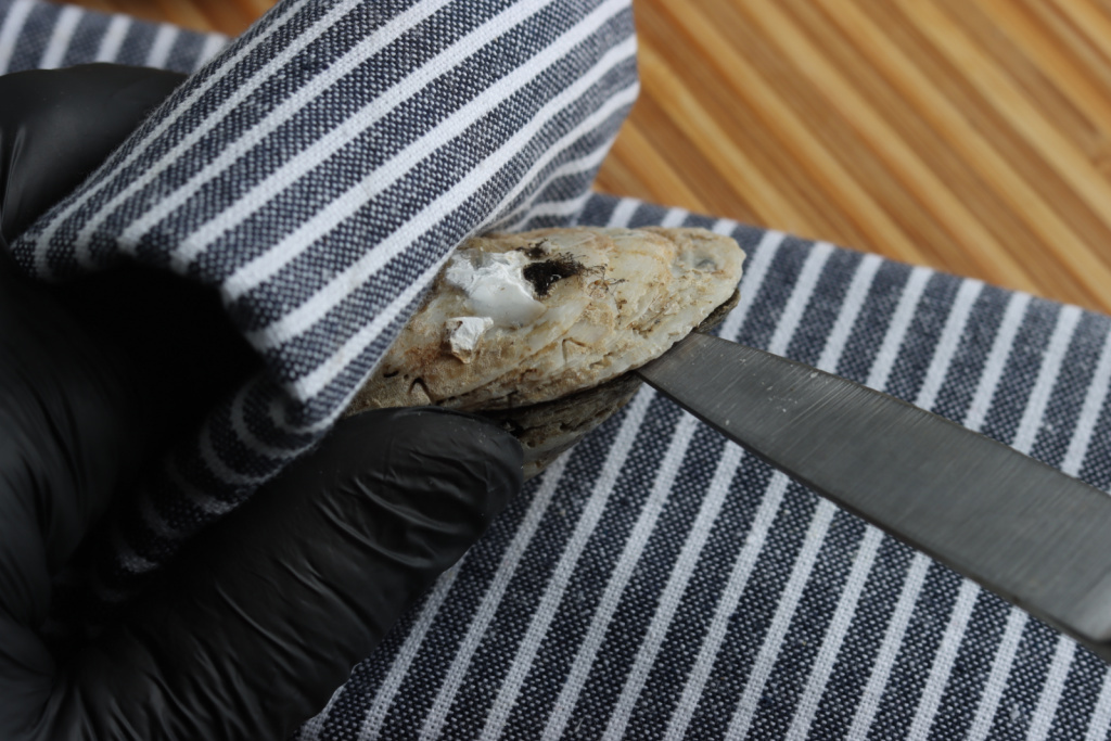 oysters open with knife