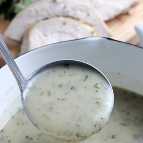 ladle with turkey gravy